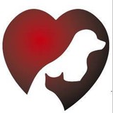 Frisco West Animal Medical Center - Medical Centers in Frisco