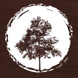 Hickory Tree Baptist Church - Churches in Mesquite
