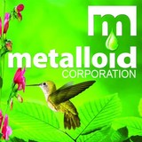 Metalloid Corp - Business Consulting in Jacksonville