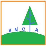 VNCIA LLC - Private Tutors in Plano
