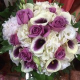 Wellington Florist & Gifts - Florists in Wellington