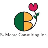 B. Moore Consulting - Marketing in San Antonio