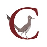 Chaparral Energy LLC - Other in Gainesville