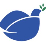 Arborcreek Montessori School - Child Care & Day Care in Dallas