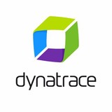 Keynote Systems Inc - Business Consulting in Plano