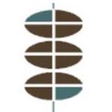 Wellspine - Internal Medicine in Dallas