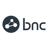 Business Network Consulting - Web Design & Development in Dallas