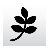 Dallas Tree Pros - Tree Services in Dallas