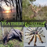 Feathers And Sheds Unlimited Outdoors LLC - Other in Sealy
