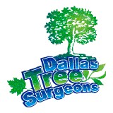 Dallas Tree Surgeons Inc - Tree Services in Dallas