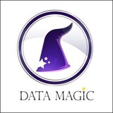 Data Magic Computer Services Inc. - Other in Coppell