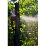 A+ Tree Service - Tree Services in Bryan