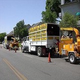 A Better Arborist Tree Service - Tree Services in Irving