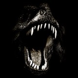 Rawr Agency - Advertising in Dallas