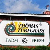 Thomas Turfgrass - Landscape Architects in Paige
