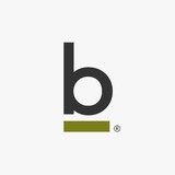 Brierley & Partners Inc - Business Consulting in Plano