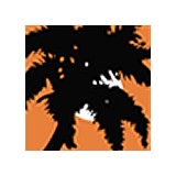 Island Services - Other in South Padre Island