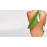 Wetz Chiropractic Clinic - Chiropractors in San Antonio