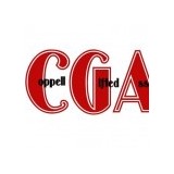 Coppell Gifted Association - Other in Coppell