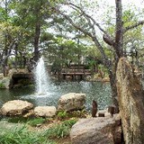 Kidsworldmd.com - Other in Temple