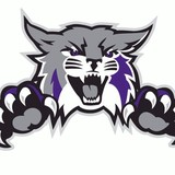 Phoenix High School - Other in Elgin