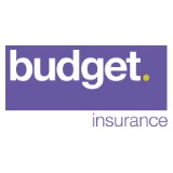 Budget Insurance Service - Insurance in Brownsville