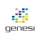 Genesi U S A Inc - Web Design & Development in San Antonio