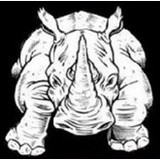 Rhino Tuff Roofing - Roofing in Plano