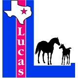 City Of Lucas - Other in Allen