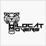 Wildcat Movers - Movers & Removals in Plano