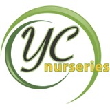 Y C Nursery Prosper - Other in Prosper