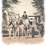Heritage Funeral Coaches - Funeral Services & Cemeteries in Dallas