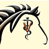 Taraba Equine Sports Medicine LLC - Other in Pittsburg