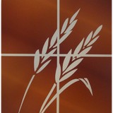 Flores Real Estate Servic - Other in San Antonio