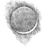 Earthshine Photography - Other in San Antonio