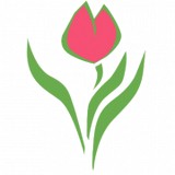 Institute For Women's Health - Doctors in San Antonio