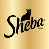 Sheba LLC - Restaurants in Pearland
