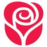 Carlton Cards - Cards & Stationery in Sugar Land