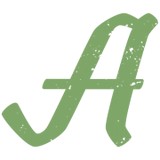 Amati Violin Shop Inc - Musical Instruments & Services in Houston