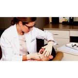 Magness Marla J DDS - Orthodontists in Houston