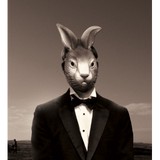 Dib Creative - Advertising in Dallas