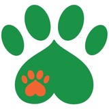 kiki and fetch - Pet Services in Houston