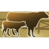 Big Creek Butcher Shop - Other in Marlin