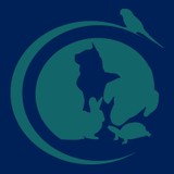Animal Avian Hospital-Village - Veterinarians/Vets in Houston