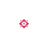 MR DesignNet - Web Design & Development in Tomball