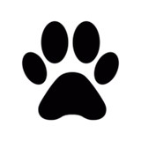 F M 1960 Animal Hospital - Veterinarians/Vets in Houston