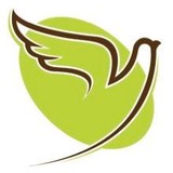 Paloma Home Health Agency Inc - Other in Little Elm