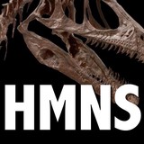 Houston Museum-Natural Science - Museums in Houston