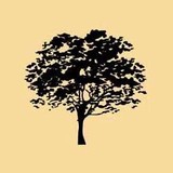 Sticks Tree Service - Tree Services in Cypress