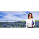 AI United Insurance - Car Insurance in Houston